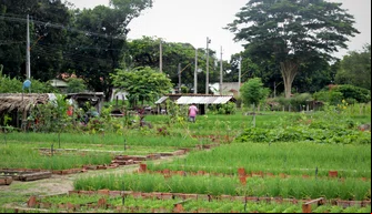 Horta do Dirceu