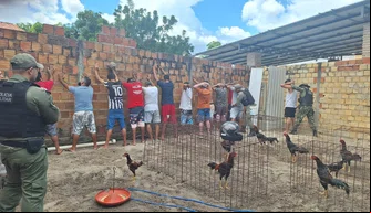 PM prende 14 pessoas em rinha de galos na cidade de Parnaíba