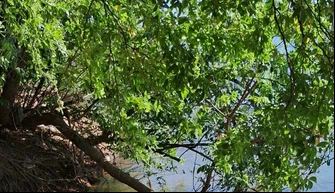 Corpo de homem é encontrado às margens do Rio Parnaíba em Timon